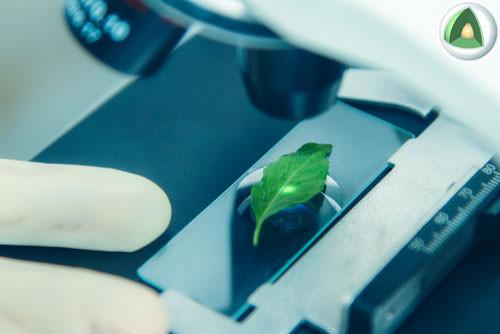 ACTIVA Well-Being range : All-round Action