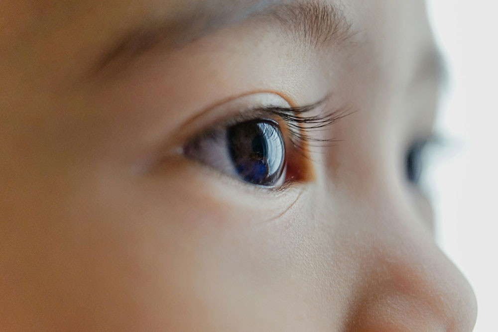 Eyes on the Prize – Essential Nutrients for Healthy Eyesight in Kids