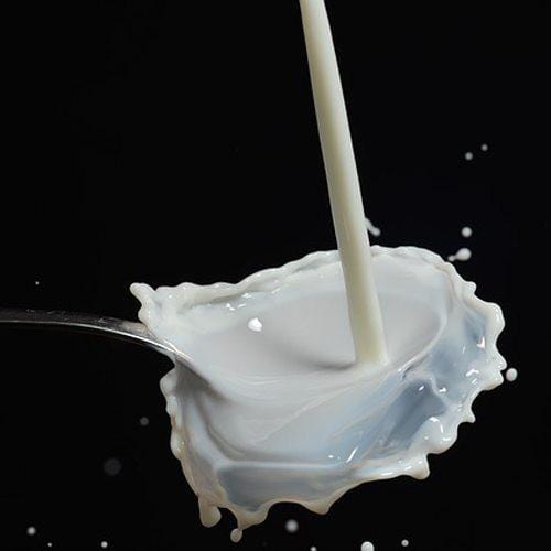 Probiotics for Lactose Intolerance