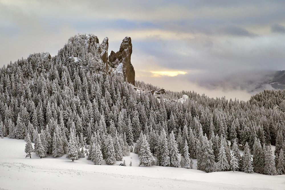 Winter is Coming – 5 Top Tips to Stay Cold-Free this Holiday Season