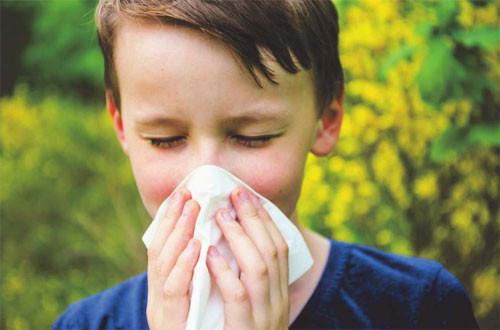 Hay fever 101 – What is it and how can natural remedies help?