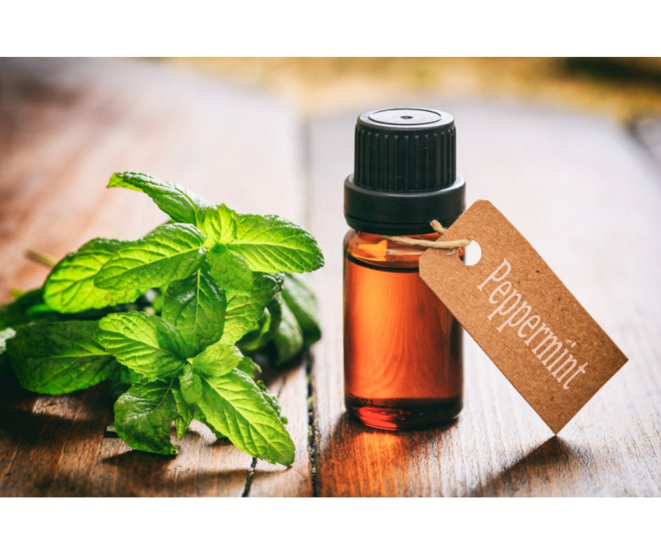 Obbekjaers Peppermint Oil