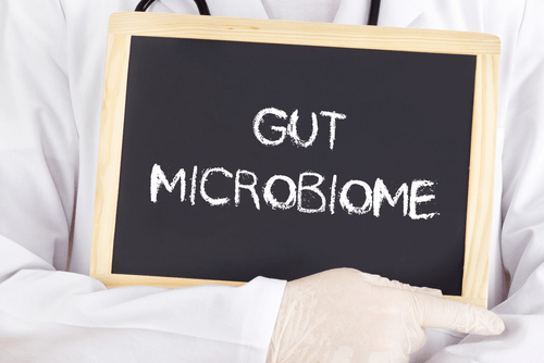 Microbiome as Medicine – Why Your Environment and Your Gut Matter More than Genetics