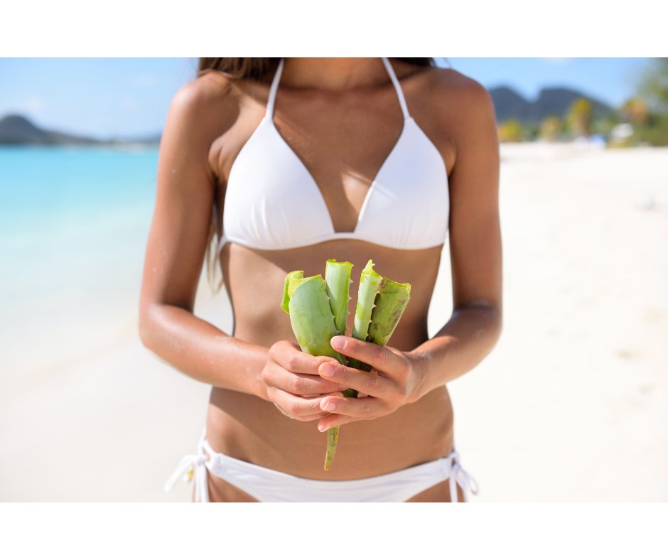 The Many Benefits of Aloe Vera