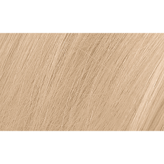 Naturtint 10N Light Dawn Blonde