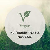 Good Health Naturally Silver Biotics Tooth Gel 114g