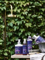 Urtekram Shampoo Purple Lavender 250ml