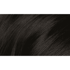 Naturtint 1N Ebony Black