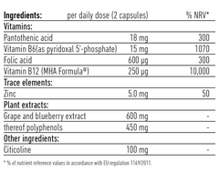 Biogena Brain & Memory Performance 60's