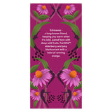 Pukka Herbs Elderberry & Echinacea Organic Herbal Tea