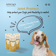 Efficaci Joint Protect (for dogs) 90's