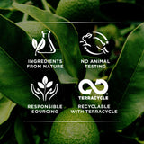 Burts Bees Gentle Eye Cream with Aloe & Rice Milk (Sensitive) 14.1g