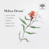 New Nordic Melissa Dream 100's