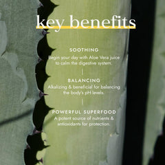 Fushi Organic Aloe Vera Juice 1000ml