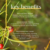 Fushi Organic Shatavari 60s