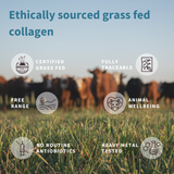 Igennus Pure & Essential Advanced Hydrolysed Collagen Peptides 400g