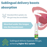 Igennus Super B12-Complex 5000ug Spray 15ml