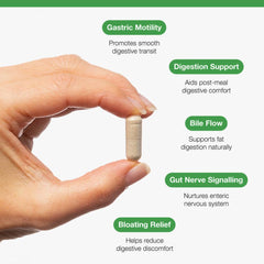 Metagenics Motility Complex with Ginger + Artichoke 120s (Formerly Nutri Adv. NUT-6963)