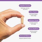 Metagenics Ashwagandha 500mg 60s (Formerly Nutri Adv. 6140)