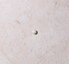 Higher Nature Pro-Daily 90's