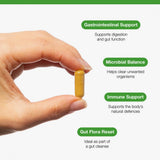 Metagenics Berberine & Grapefruit Seed 60s (Formerly Nutri Adv. NUT-5550)