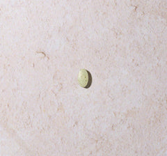 Higher Nature Botanical & Mineral Complex 90s