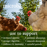 Microbz Poultry Nutrition 1 Litre