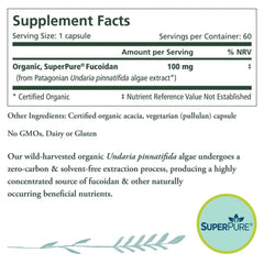 The Synergy Company (Pure Synergy) SuperPure Fucoidan 60s