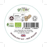 Teeny Greeny Organic Microgreen Grow Kit (Red Mizuna)