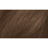 Naturtint 6G Dark Golden Blonde