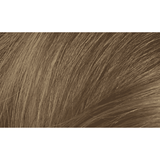 Naturtint 7N Hazelnut Blonde