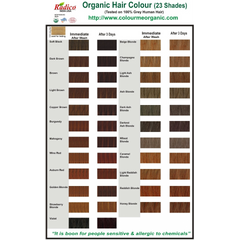 Radico Organic Hair Colour Copper Brown 100g
