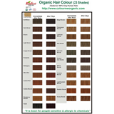 Radico Organic Hair Colour Wine Red 100g