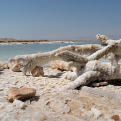 One with Nature Eucalyptus Dead Sea Mineral Bath Salts 907g