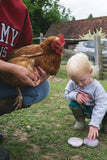 George's Chicken Remedies Mites Away Chicken Lavender Leg Mite Ointment – 250ml