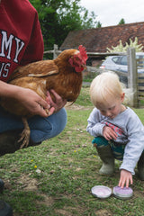 George's Chicken Remedies Mites Away Chicken Lavender Leg Mite Ointment – 250ml