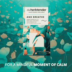 The Herbtender And Breathe Organic Herbal Tea 18s