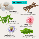 The Herbtender And Breathe Organic Herbal Tea 18s