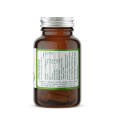 Wise Owl Antioxidant Plus Coenzyme Q10 60s
