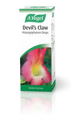 A Vogel (BioForce) Devil's Claw Harpagophytum Drops 50ml