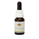 Australian Bush Flower Essences Banksia Robur (Stock Bottle) 15ml