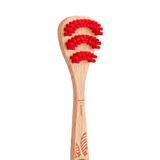 Beechwood tongue Brush 1 unit