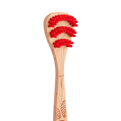 Beechwood tongue Brush 1 unit