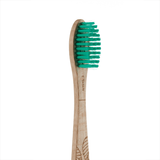 Beechwood toothbrush - Medium 1 unit