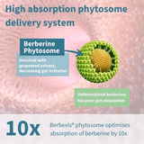 Igennus Berberine Phytosome & Chromium 60s