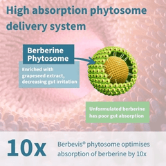 Igennus Berberine Phytosome & Chromium 60s