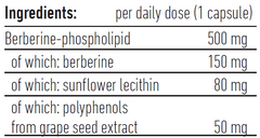 Biogena Berberine Phytoactive Gold 90s