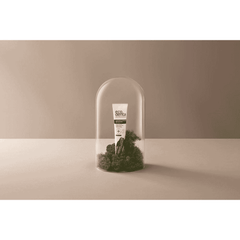 Ecodenta Certified Organic Whitening Toothpaste Black Charcoal 75ml