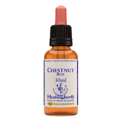 Healing Herbs Ltd Chestnut Bud 30ml