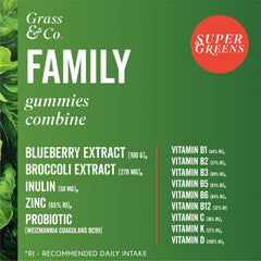 Grass & Co Family Greens Mixed Berry Gummies 60s